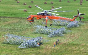 Erickson Helicrane moet ook Chapter 11 bescherming aanvragen.