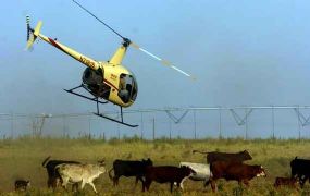 ALERT: Robinson Helicopters waarschuwt tegen Low G ongevallen