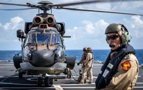 Defensie (NL) publiceert projectenoverzicht helikopters - deel II: Cougar - Chinook - Simulator Defensie (NL) publiceert projectenoverzicht helikopters - deel II: Cougar - Chinook - Simulator