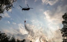 Kort: Chinook komt naar Vlissingen - Vietnam koopt Amerikaans