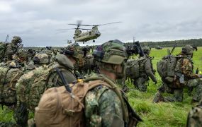 Nederlandse DHC kleurt groen - Falcon Autumn 2025